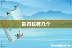 副市长有几个