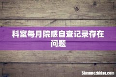 科室每月院感自查记录存在问题