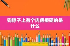 狗脖子上有个肉疙瘩硬的是什么