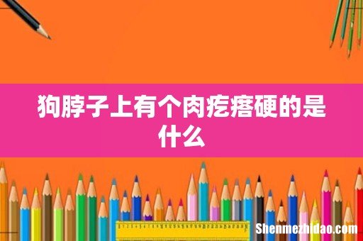 狗脖子上有个肉疙瘩硬的是什么