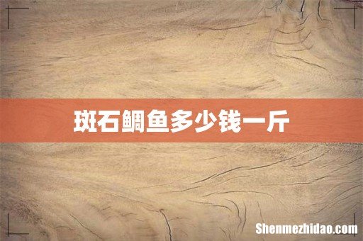 斑石鲷鱼多少钱一斤