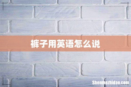 裤子用英语怎么说