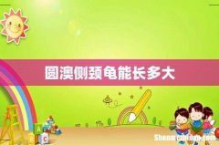 圆澳侧颈龟能长多大