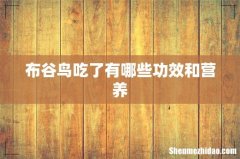 布谷鸟吃了有哪些功效和营养