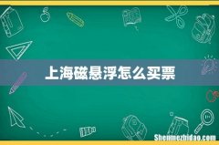上海磁悬浮怎么买票