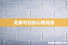 无家可归的心情短语