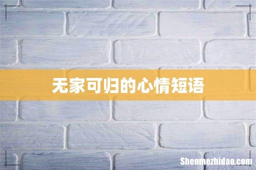 无家可归的心情短语