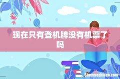 现在只有登机牌没有机票了吗