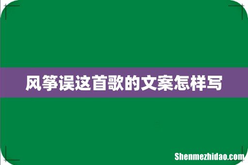 风筝误这首歌的文案怎样写