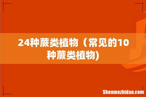24种蕨类植物（常见的10种蕨类植物)