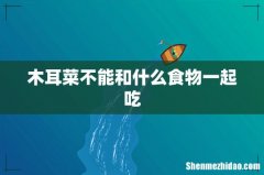 木耳菜不能和什么食物一起吃