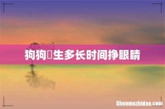 狗狗岀生多长时间挣眼睛