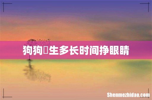 狗狗岀生多长时间挣眼睛