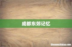 成都东郊记忆