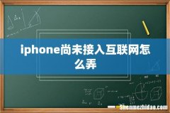 iphone尚未接入互联网怎么弄
