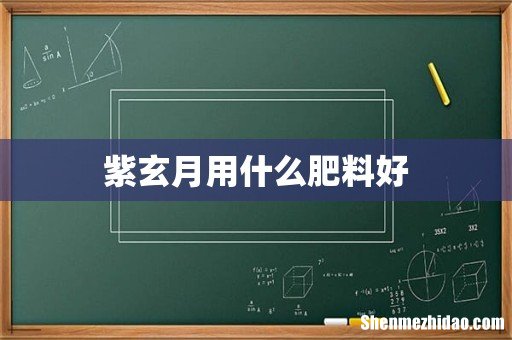 紫玄月用什么肥料好