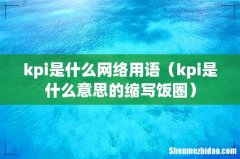 kpi是什么意思的缩写饭圈 kpi是什么网络用语