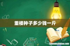 重楼种子多少钱一斤