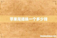 苹果尾插换一个多少钱