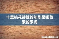 十里桃花待嫁的年华是哪首歌的歌词