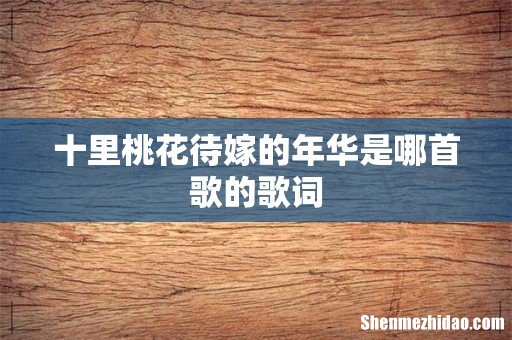 十里桃花待嫁的年华是哪首歌的歌词