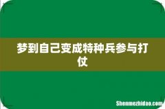 梦到自己变成特种兵参与打仗
