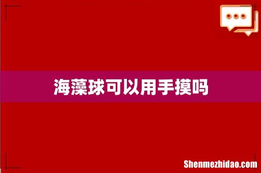 海藻球可以用手摸吗