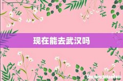 现在能去武汉吗