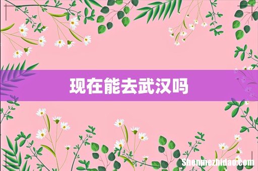 现在能去武汉吗