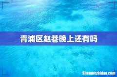 青浦区赵巷晚上还有吗