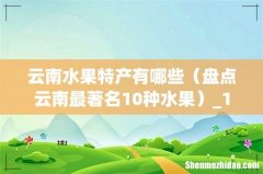 盘点云南最著名10种水果 云南水果特产有哪些_1