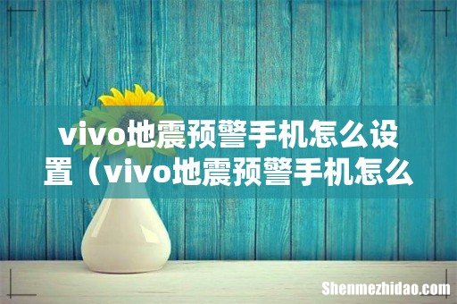 vivo地震预警手机怎么设置声音 vivo地震预警手机怎么设置