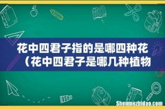 花中四君子是哪几种植物 花中四君子指的是哪四种花