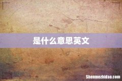 是什么意思英文