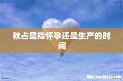 秋占是指怀孕还是生产的时间