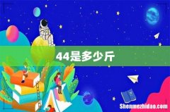 44是多少斤