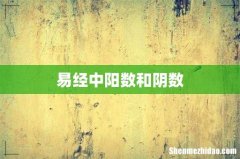 易经中阳数和阴数