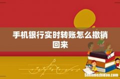 手机银行实时转账怎么撤销回来
