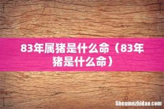 83年猪是什么命 83年属猪是什么命