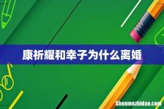 康祈耀和幸子为什么离婚