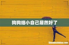 狗狗细小自己居然好了