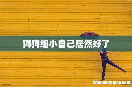 狗狗细小自己居然好了