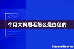 个月大狗眉毛怎么是白色的