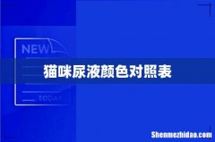 猫咪尿液颜色对照表