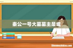 秦公一号大墓墓主是谁