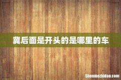 冀后面是开头的是哪里的车