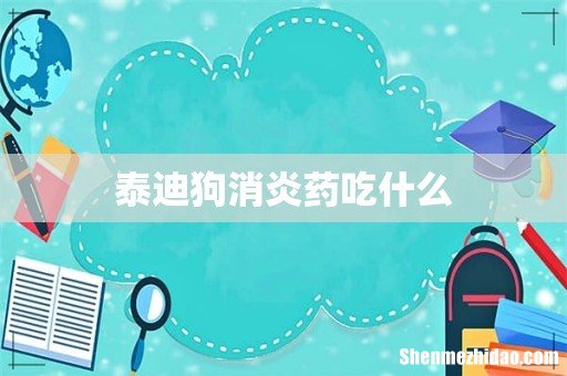 泰迪狗消炎药吃什么