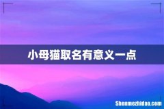 小母猫取名有意义一点