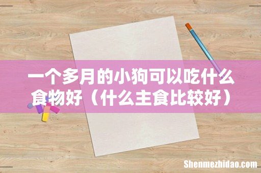 什么主食比较好 一个多月的小狗可以吃什么食物好