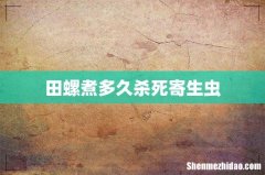 田螺煮多久杀死寄生虫